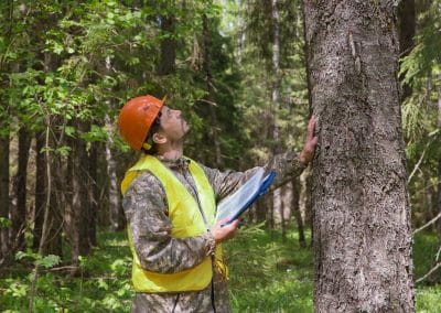 Coastal Resources Group | Utility Vegetation Management | Contract Forester